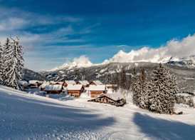 Almwelt Austria 2