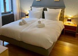 Hotel & Restaurant Grüner Baum Merzhausen 2