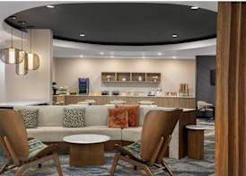 SpringHill Suites by Marriott - Tampa Brandon 2