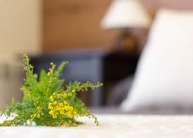 Hostal Art Madrid 5