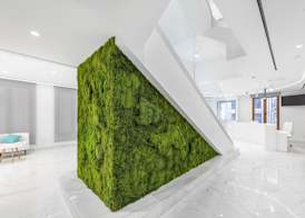 Odyssey Rooms Alicante 3