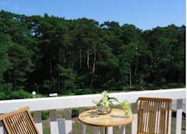 Ostseehotel Boltenhagen 4