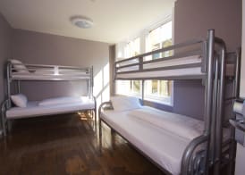 Albatross Hostel 4