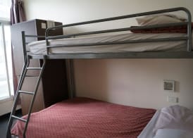 790 on George Backpackers 5