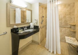 Holiday Inn Resort ORLANDO LAKE BUENA VISTA by IHG 3