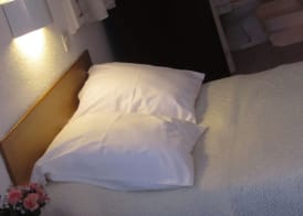 Hôtel Duchesse Anne 5