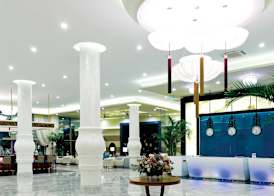 Paloma Pasha 3