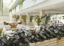 Hotel Cabogata Jardín 4