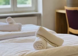 Zentrum Apartmenthaus am Dom Plant Room 2