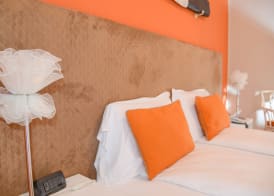 Hotel Flaminia 3