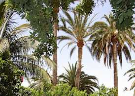 Finca Borbolan y La Roseta 5