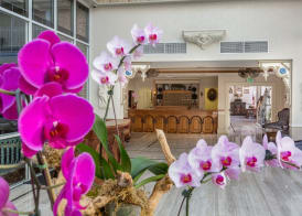 Horton Grand Hotel 3