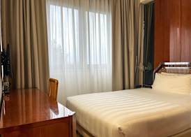 Hotel Napoleon 3