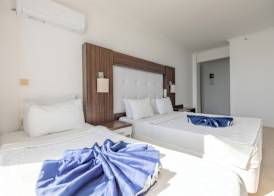 Arora Hotel 5