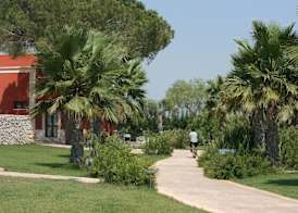 Petraria Resort 3