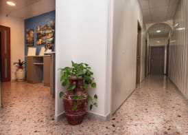 Hotel Baia Verde 4