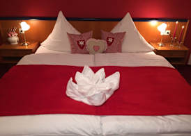 Harmonie Hotel Rust 5