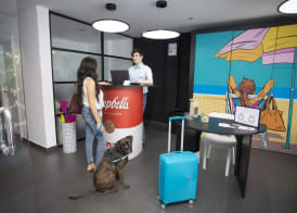 Casual Pop Art Hotel by Casual Hoteles 2
