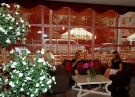 Hatipoglu Beach Hotel 5