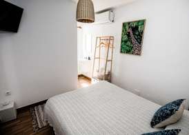 Hostal The Monkey Room 5