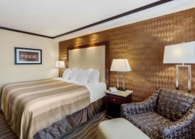 Best Western Plus Edmonton Airport 4