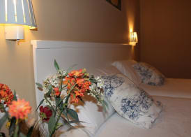 Hotel Marisma Sancti Petri 5