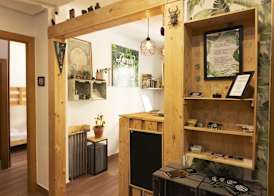 Green Hostel Oviedo 5