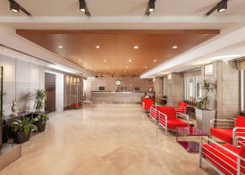 Nippon Hotel 2