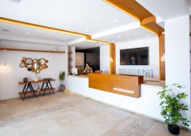 Tropicana Suites & Villas Mykonos 3