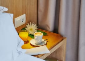 Hotel Arrey Alella 3