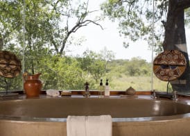 Lukimbi Safari Lodge 4