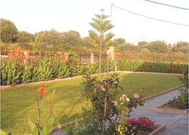 Paradise Studios 4