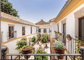 Cats Hostel Córdoba 5
