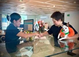 Quality Inn Mazatlan 5