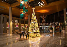 Nirvana Cosmopolitan Hotel - Convention & Sports Center 2