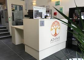 Adonis Hotel Strasbourg 3
