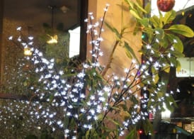 English Bay Hotel 2