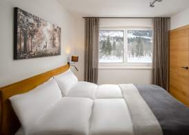 Auhof - Apartments Bad Gastein 2