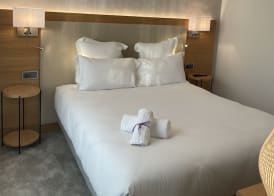 Brit Hotel Paris Orly Rungis 4