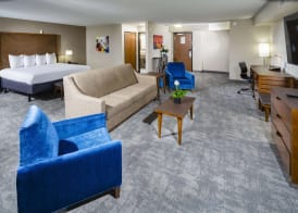 Best Western Plus Henderson Hotel 4