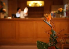 Hotel Lessing 3