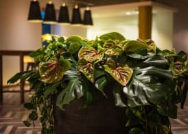 Sheraton Duesseldorf Airport Hotel 2