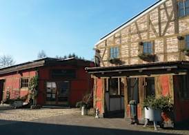 Historische Wassermühle 2