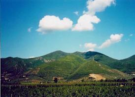 Agriturismo La Pisana 4