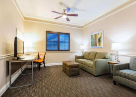 Radisson Resort at the Port 4