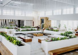 Majestic Elegance Costa Mujeres - All Inclusive 2