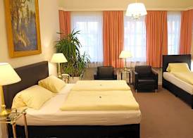 Hotel Adler 4