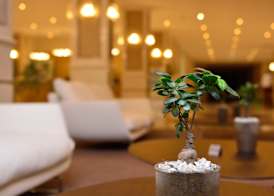 The Grand Gloria Hotel 2
