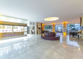 alenz suite 2
