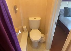 Babbacombe Palms 5